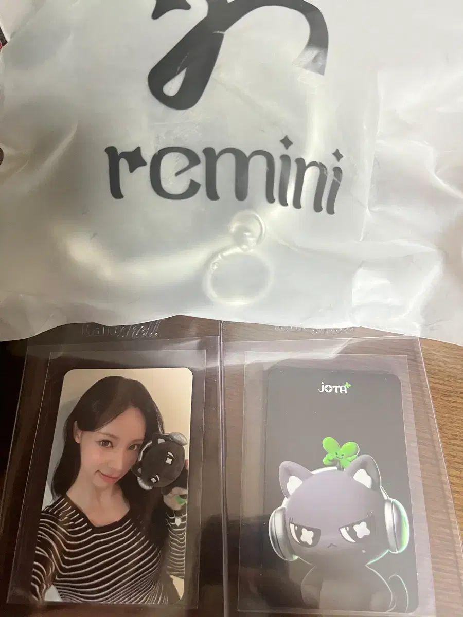 リーセンヌ ぬいぐるみ + 特典 トレカ 特典 フォトカード