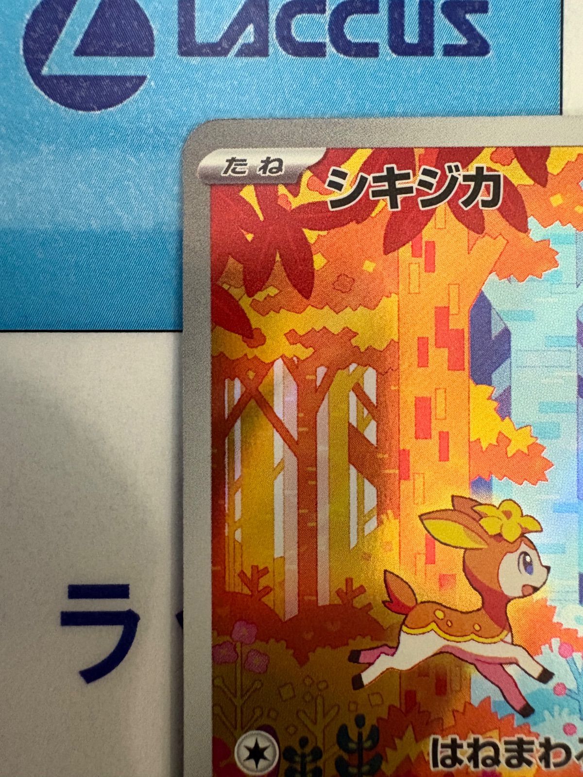 ポケモンカード/ポケカ シキジカ 073/071 AR - メルカリ