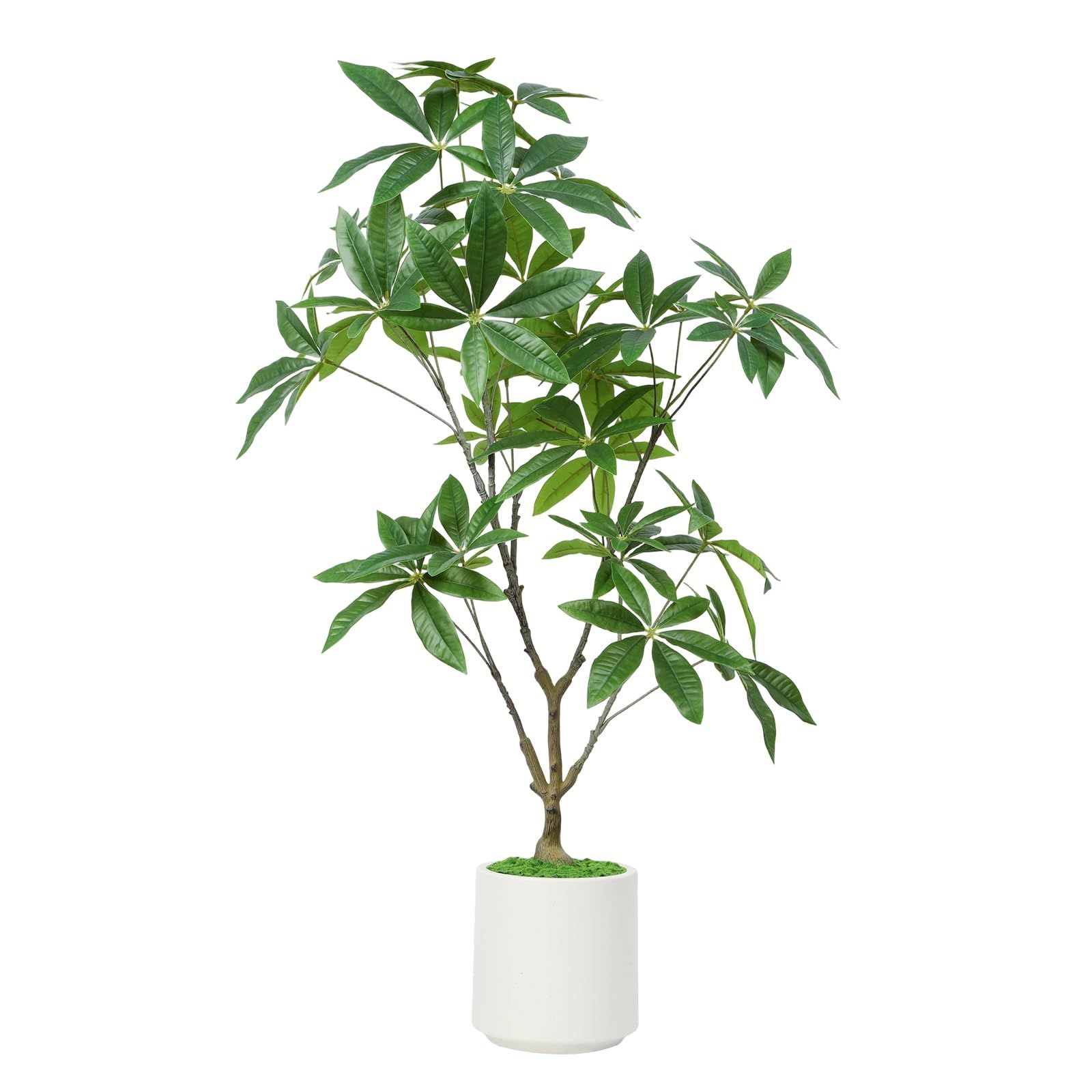 人工観葉植物 フェイクグリーン 鉢植え 大塚家具
