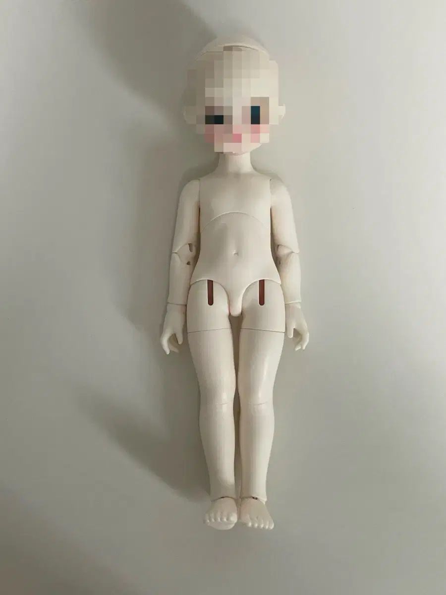 旧官 リーナシュシュ 新ボディ 出品