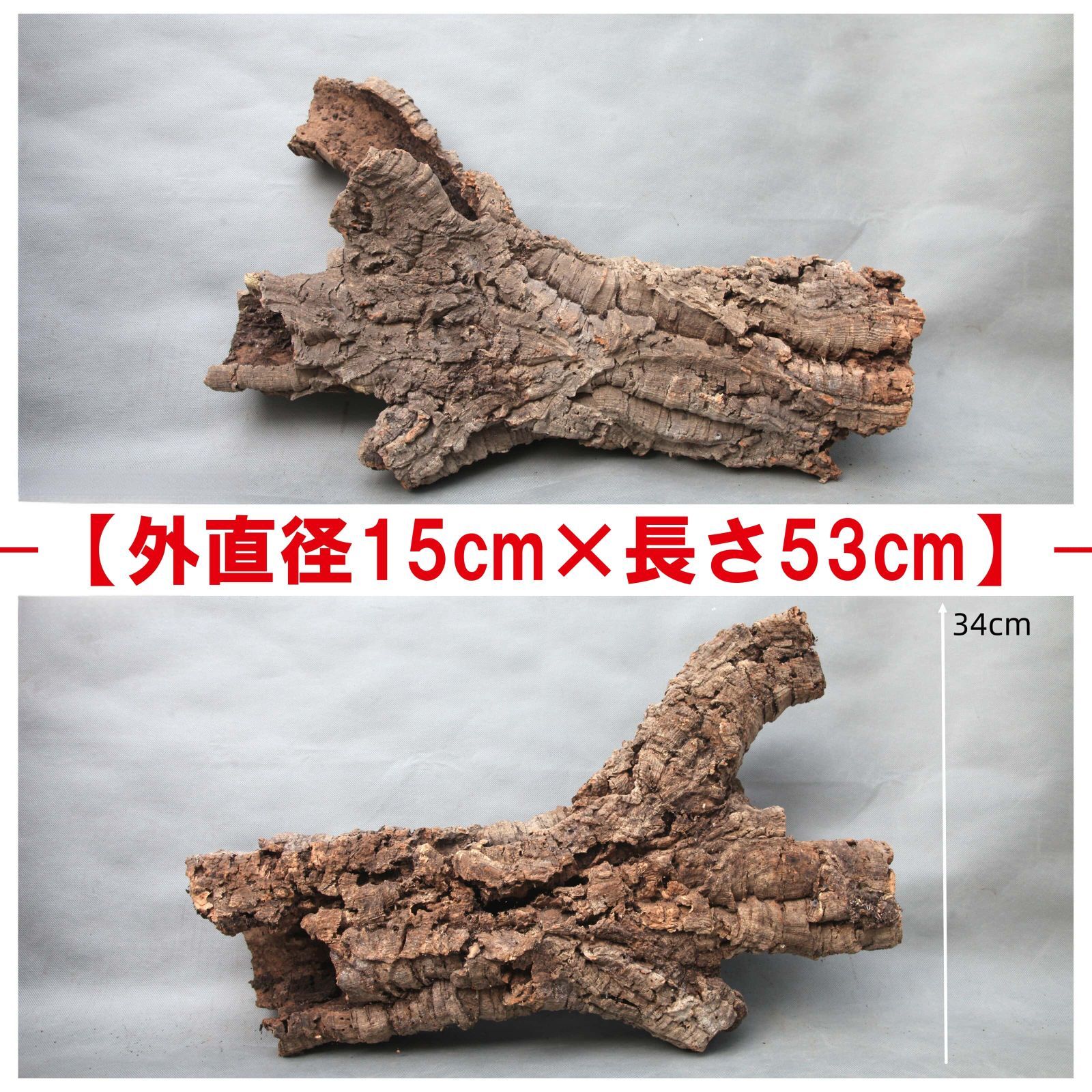 B030 ポルトガル産 キャノンコルク コルク樹皮 コルク板　バージンコルク 高品質　チランジア　ビカクシダ　着生ラン　両生類　爬虫類　コウモリラン　板付　エアープランツ 鳥用おもちゃ 植物用　水槽用　壁飾り　天然素材　DIY　大人気