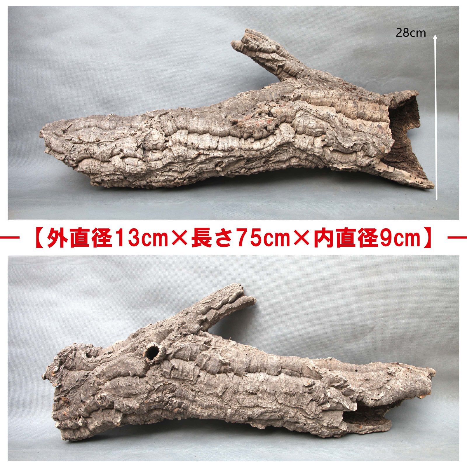 B027 ポルトガル産 キャノンコルク コルク樹皮 コルク板 バージンコルク 高品質 チランジア ビカクシダ 着生ラン 両生類 爬虫類 コウモリラン 板付 エアープランツ 鳥用おもちゃ 植物用 水槽用 壁飾り 天然素材 DIY 大人気