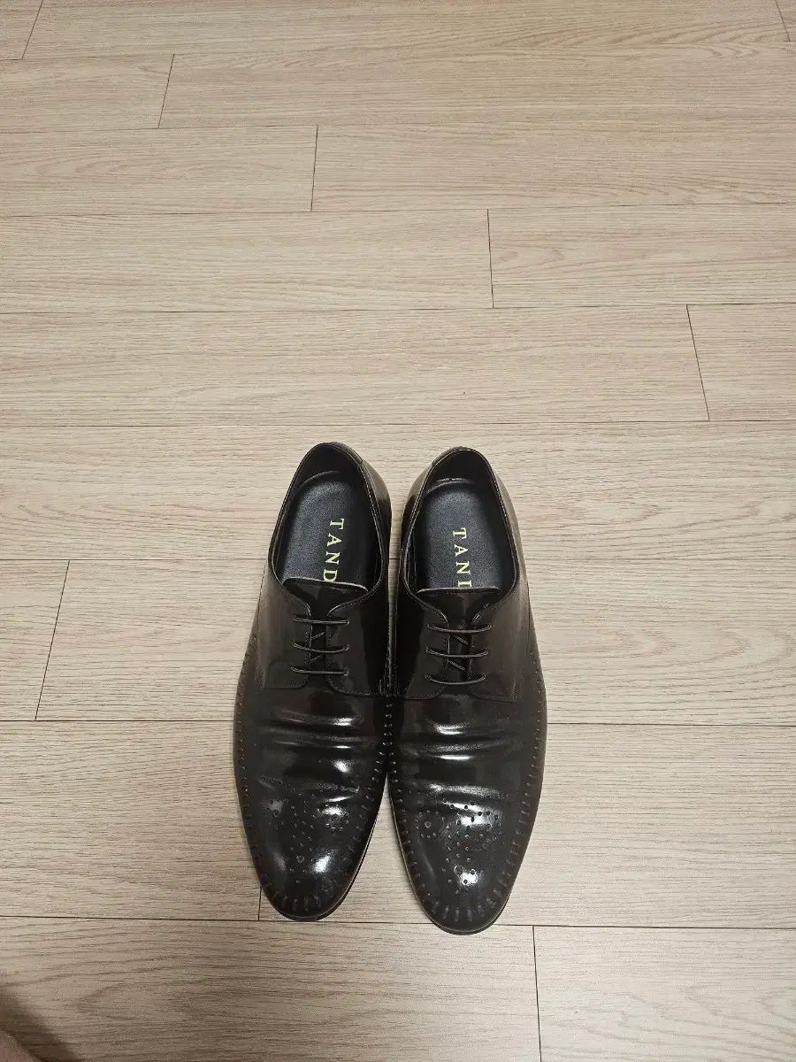 タンディ靴 250 出品