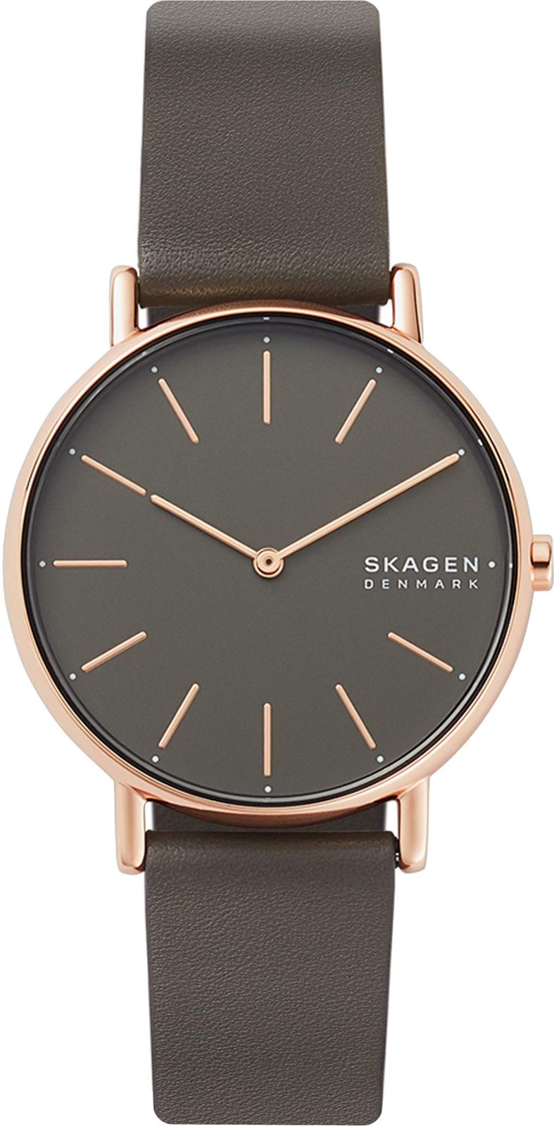 SKAGEN(スカーゲン) SKW2794