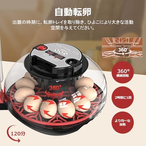 ☆新品☆自動孵卵器 インキュベーター 検卵ライト付き Safego 孵卵機