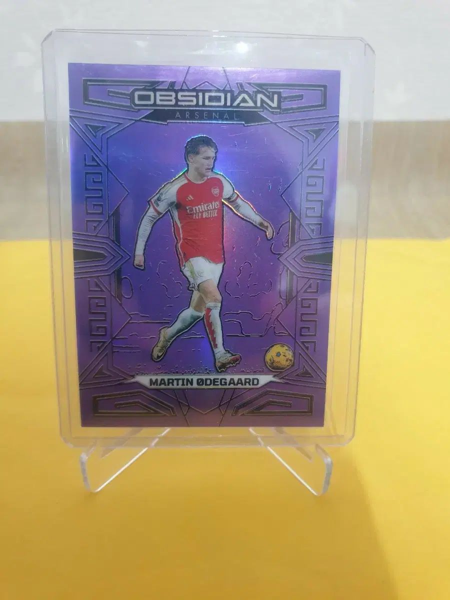 25枚限定 オブシディアン アーセナル マーティン 外 デヨゴル サッカー カード