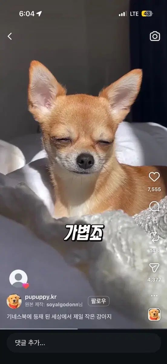 カード決済窓口です