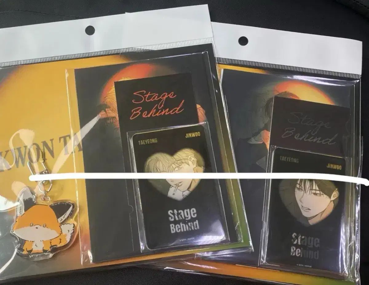 未開封) STAGE BEHIND テヨン ジヌ セット キーホルダー トレカ はがき まとめ 出品