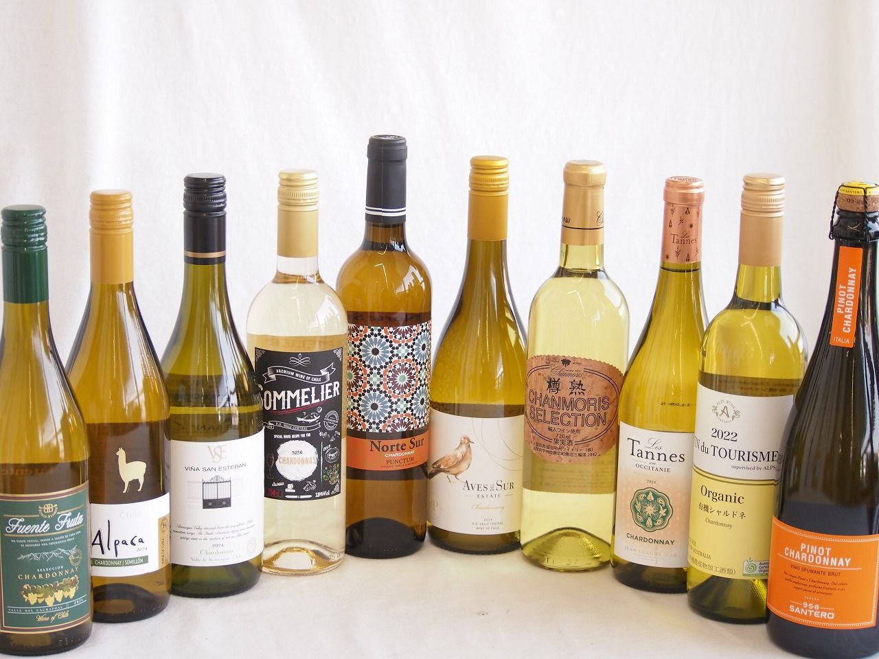 余韻に酔いしれるシャルドネ白ワイン10本セット(アルパカ ネセミヨン辛口Alc.12.5%(チリ) ノルテ スルAlc.13%(スペイン) デル スール辛口Alc.13%(チリ) ヴィーニャ サン エステバン クラシックAlc.13%(チリ) ソムリエA