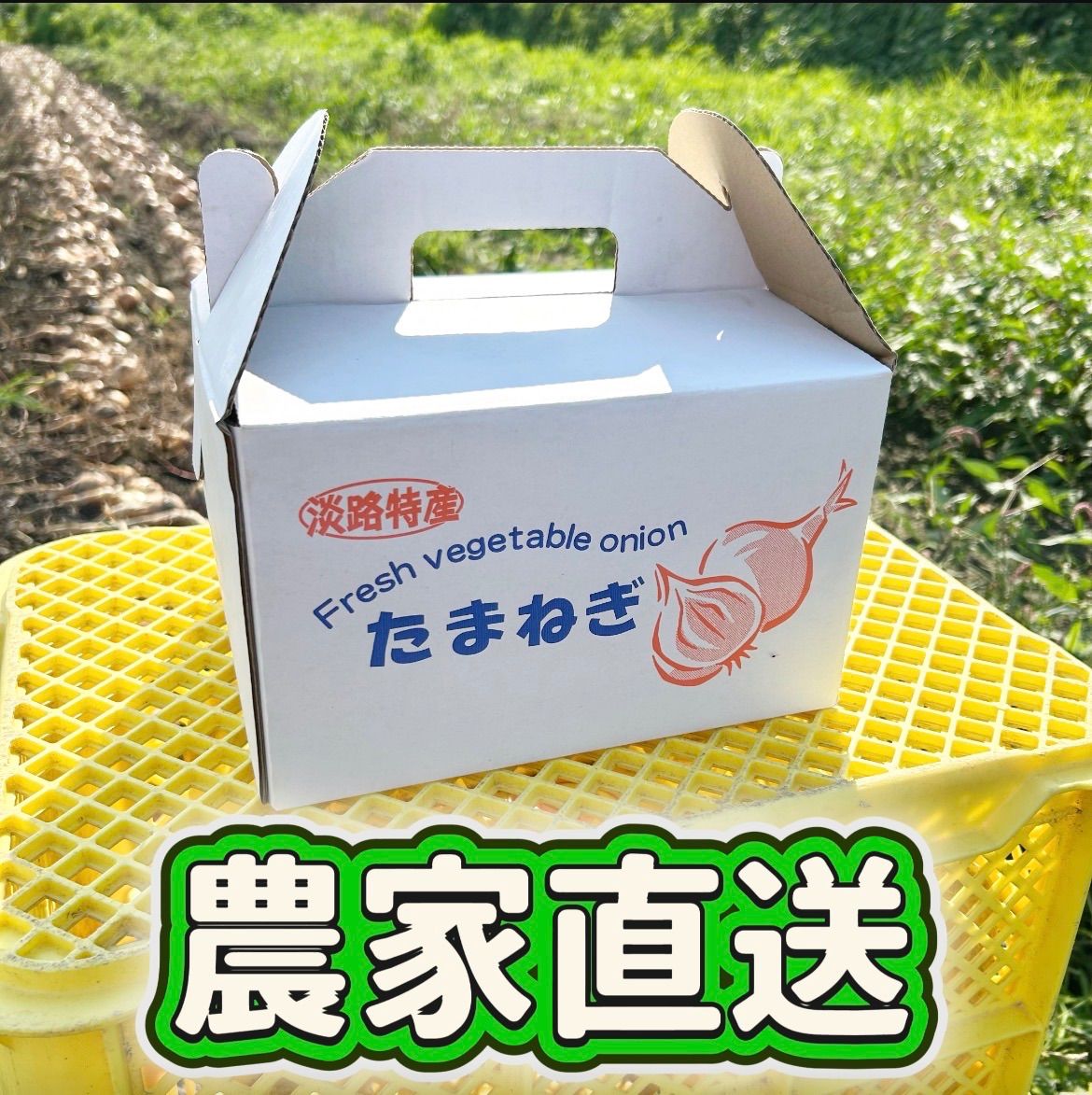 淡路島産 2026年新玉ねぎ 秀品(七宝) 10kg 送料無料 - メルカリ
