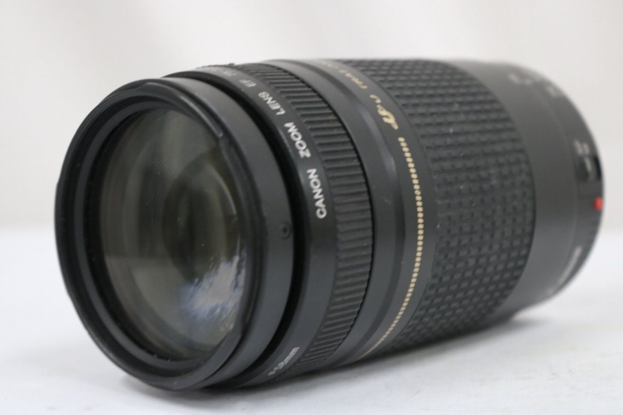 【訳あり品】 キャノン Canon EF 75-300mm F4-5.6 II ULTRASONIC レンズ e13924