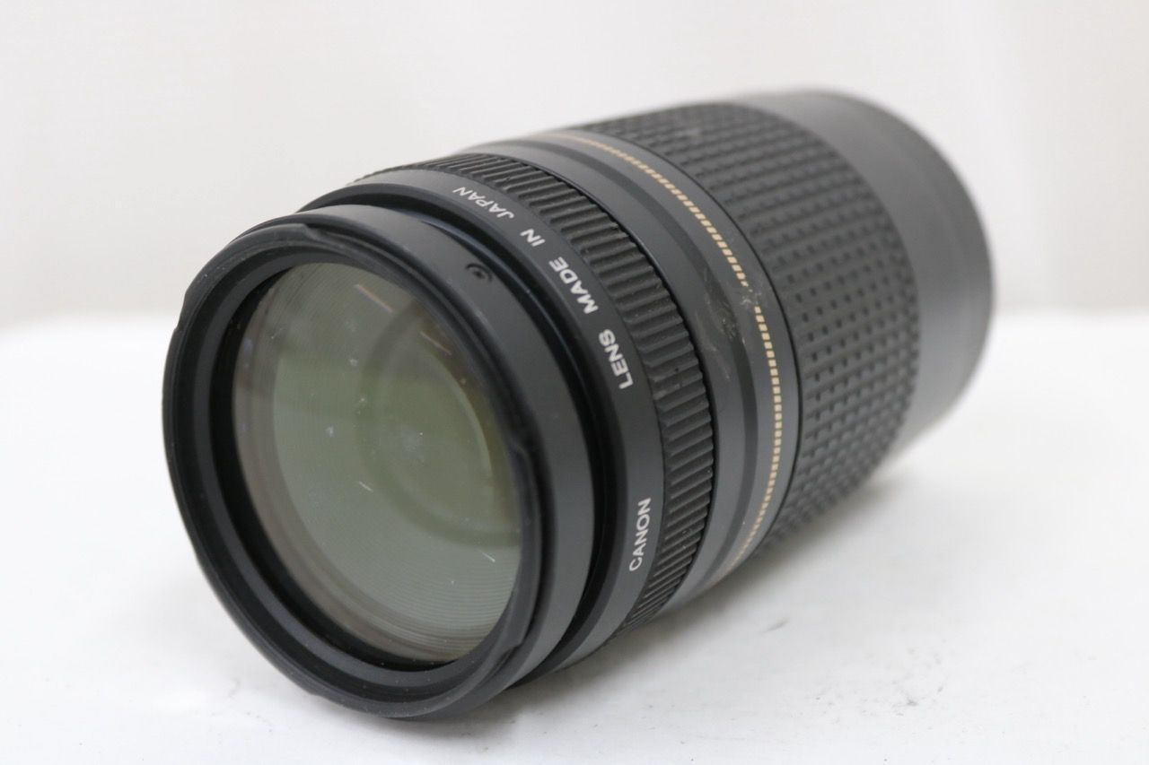 【返品保証】 キャノン Canon EF 75-300mm F4-5.6 II ULTRASONIC レンズ e14271