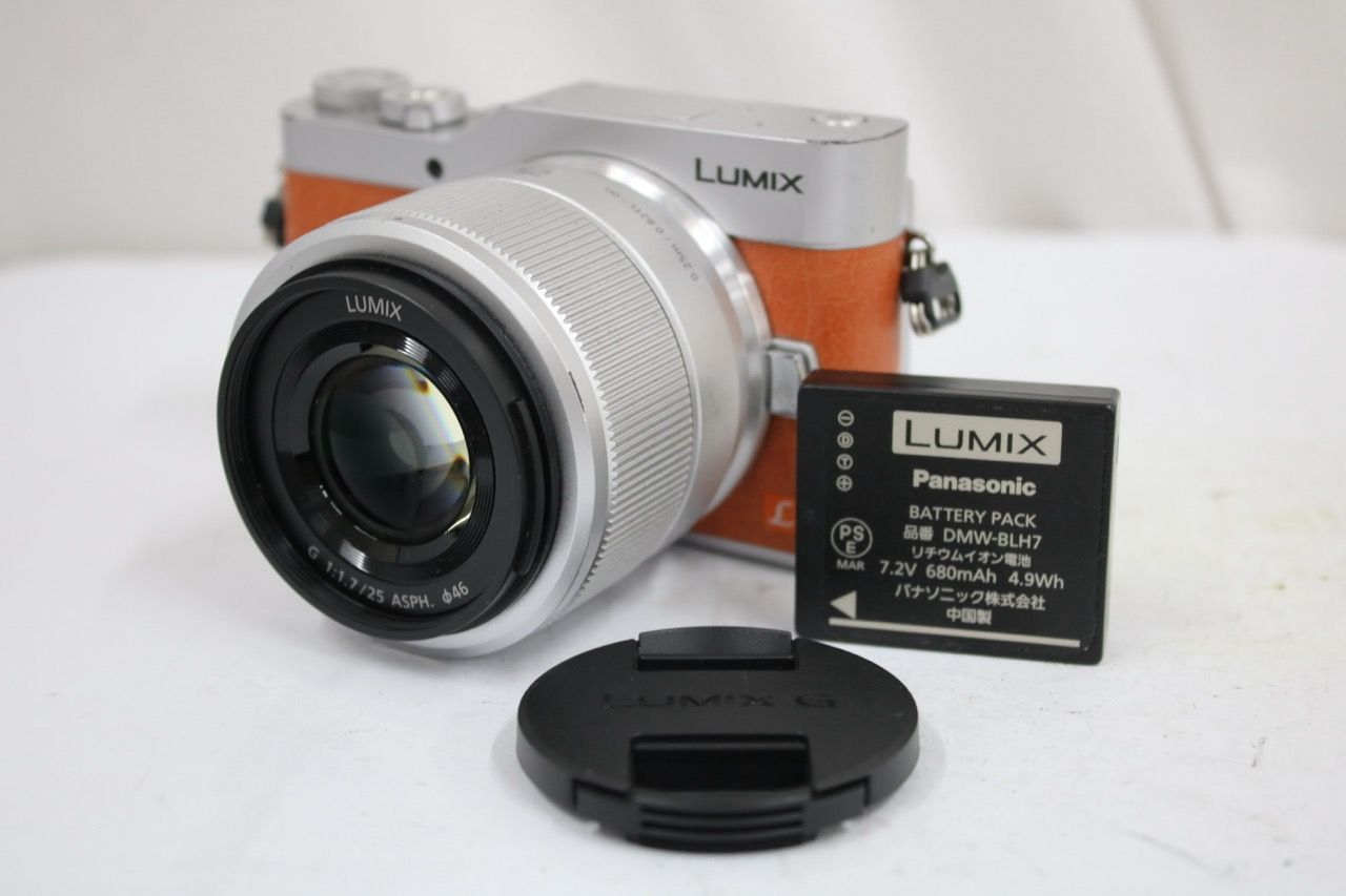 【返品保証】 【シャッター13502回】パナソニック Panasonic Lumix DC-GF9 25mm F1.7 ASPH ミラーレス一眼 e14405