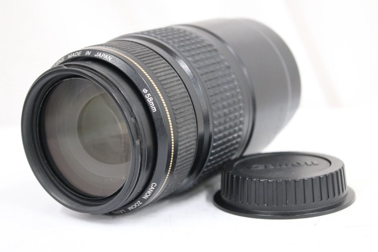 【訳あり品】 キャノン Canon EF 75-300mm F4-5.6 IS ULTRASONIC レンズ e14413