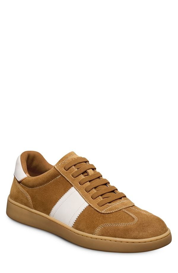 アレン エドモンズ メンズ シューズ スニーカー Allen Edmonds Ludlow SlipOn Sneaker Fawn