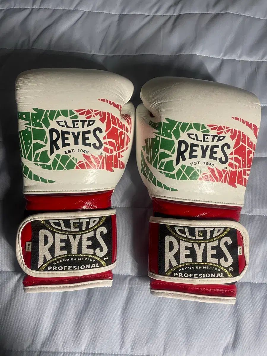 レヤス グローブ 14oz