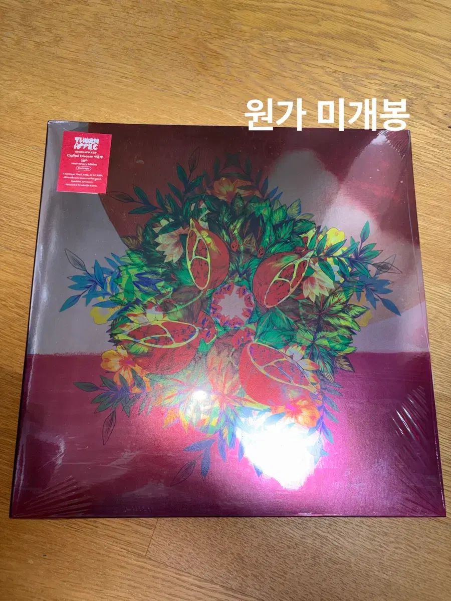 原価)ソンアップル ソウル病 lp ジョイトロフバン 未開封