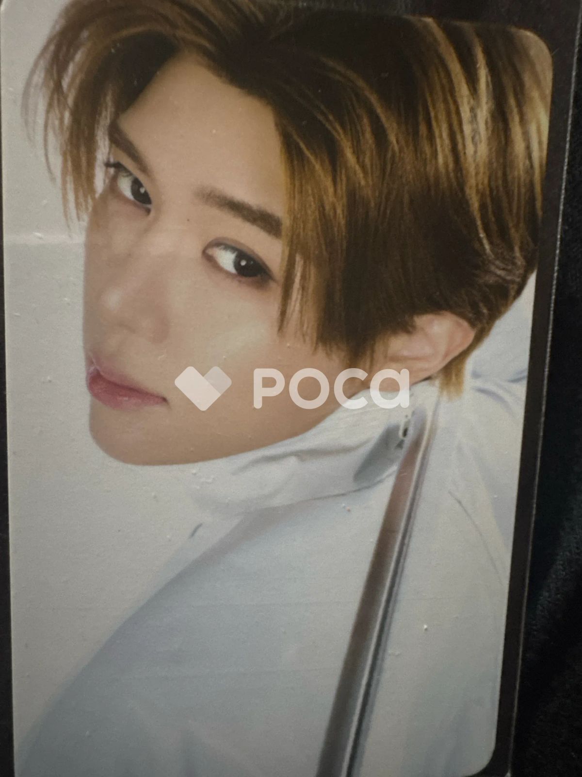 NCT シオン NCT 10TH ANNIVERSARY [NCT 2026] POP UP : NEO GROUND
