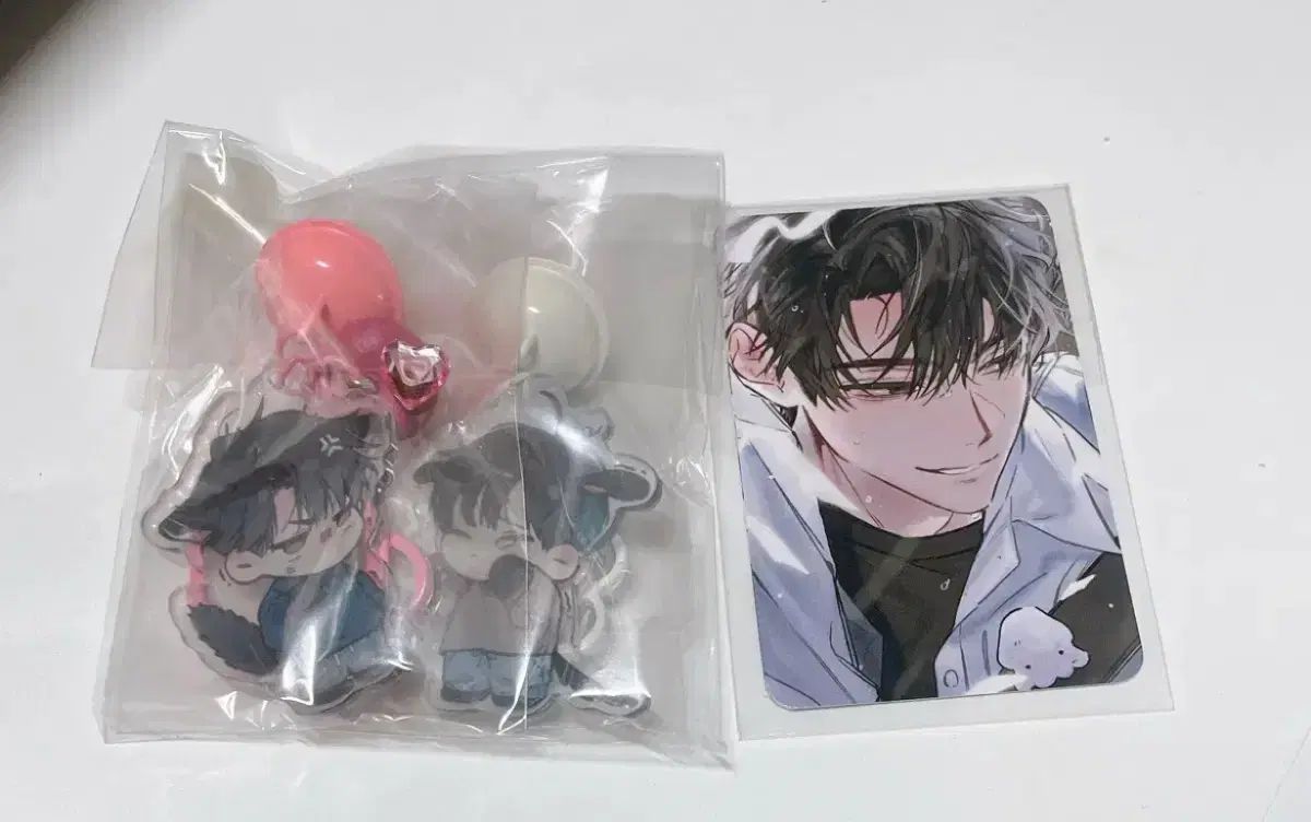 全知的な読者の視点から 非公式グッズ 韓国イラストレーター作品 アクリルキーホルダー + トレカ 7,157円
