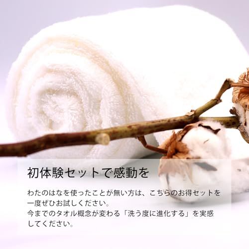 新品】超無撚糸 タオル わたのはな No.3 おためし体感セット 日本製