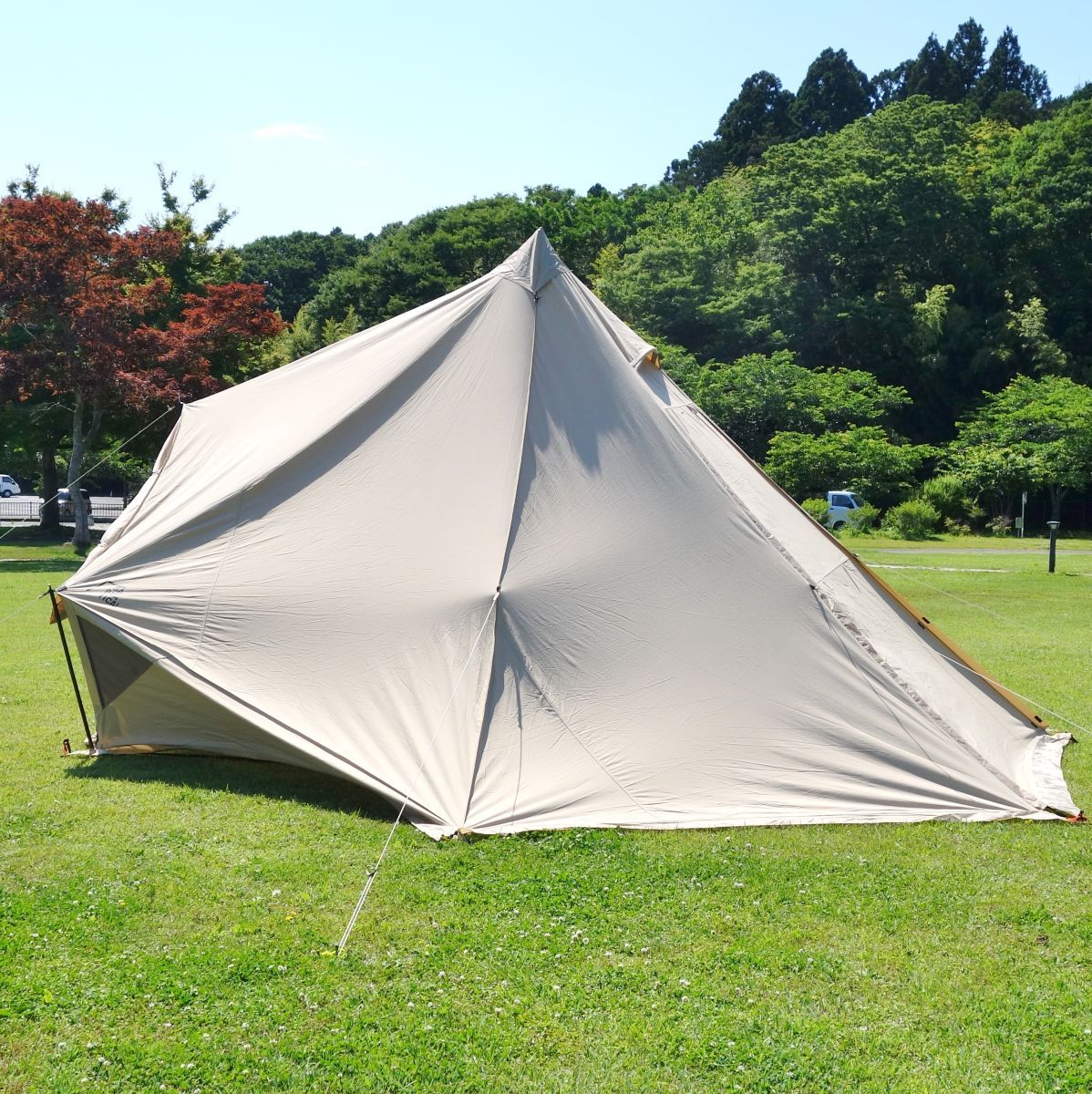 美品 サバティカル SABBATICAL モーニンググローリー TC インナーテ