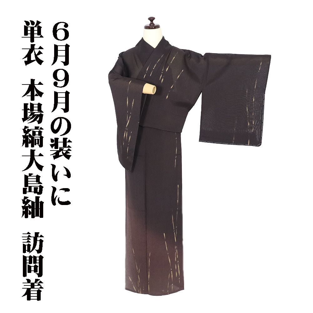 本場縞大島紬 紗紬 訪問着 正絹 濃茶 赤茶 暈し 縦縞 ローケツ染 トクサ Lサイズ ki32314 新品 レディース ギフト セミフォーマル 送料無料