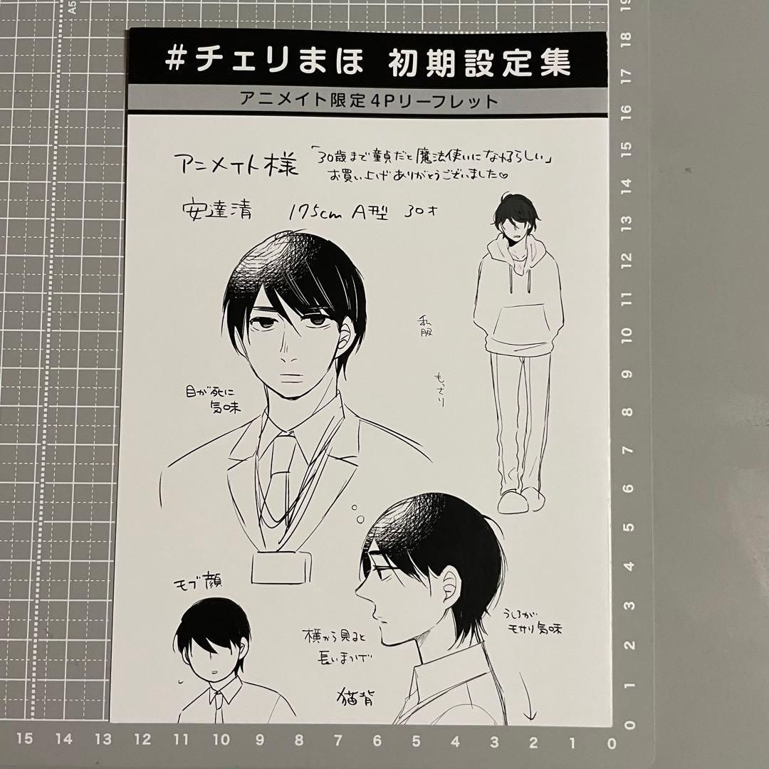 チェリまほ アニメイト限定 4Pリーフレット 初期設定集 豊田悠