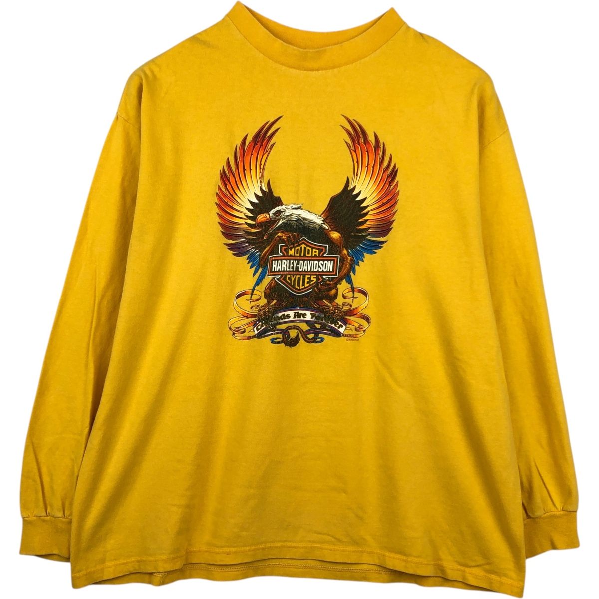 古着 90年代 ハーレーダビッドソン Harley-Davidson 鷲柄 イーグル柄 星条旗柄 ロングTシャツ ロンT メンズXL相当 ヴィンテージ/evb033667