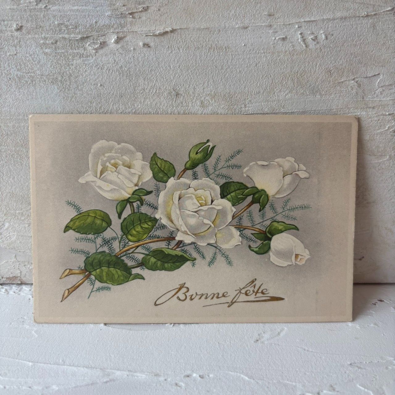 フランス アンティーク ポストカード 白薔薇 Bonne fête 未使用 