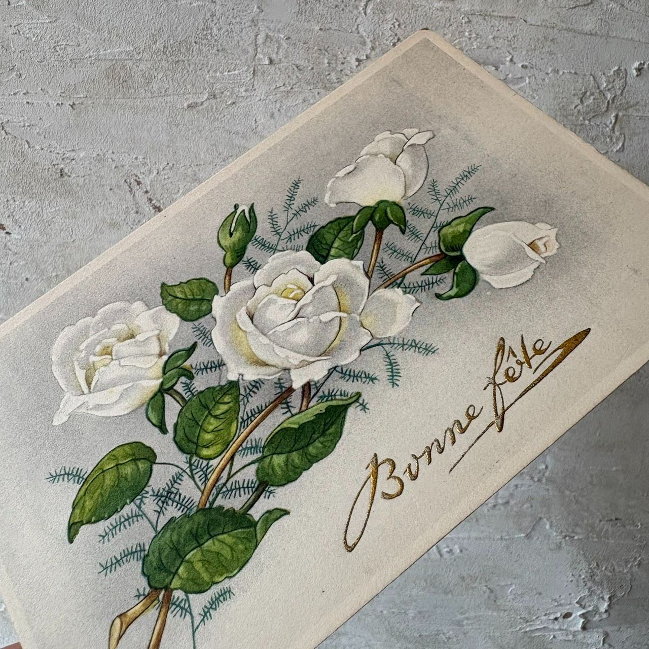フランス アンティーク ポストカード 白薔薇 Bonne fête 未使用 