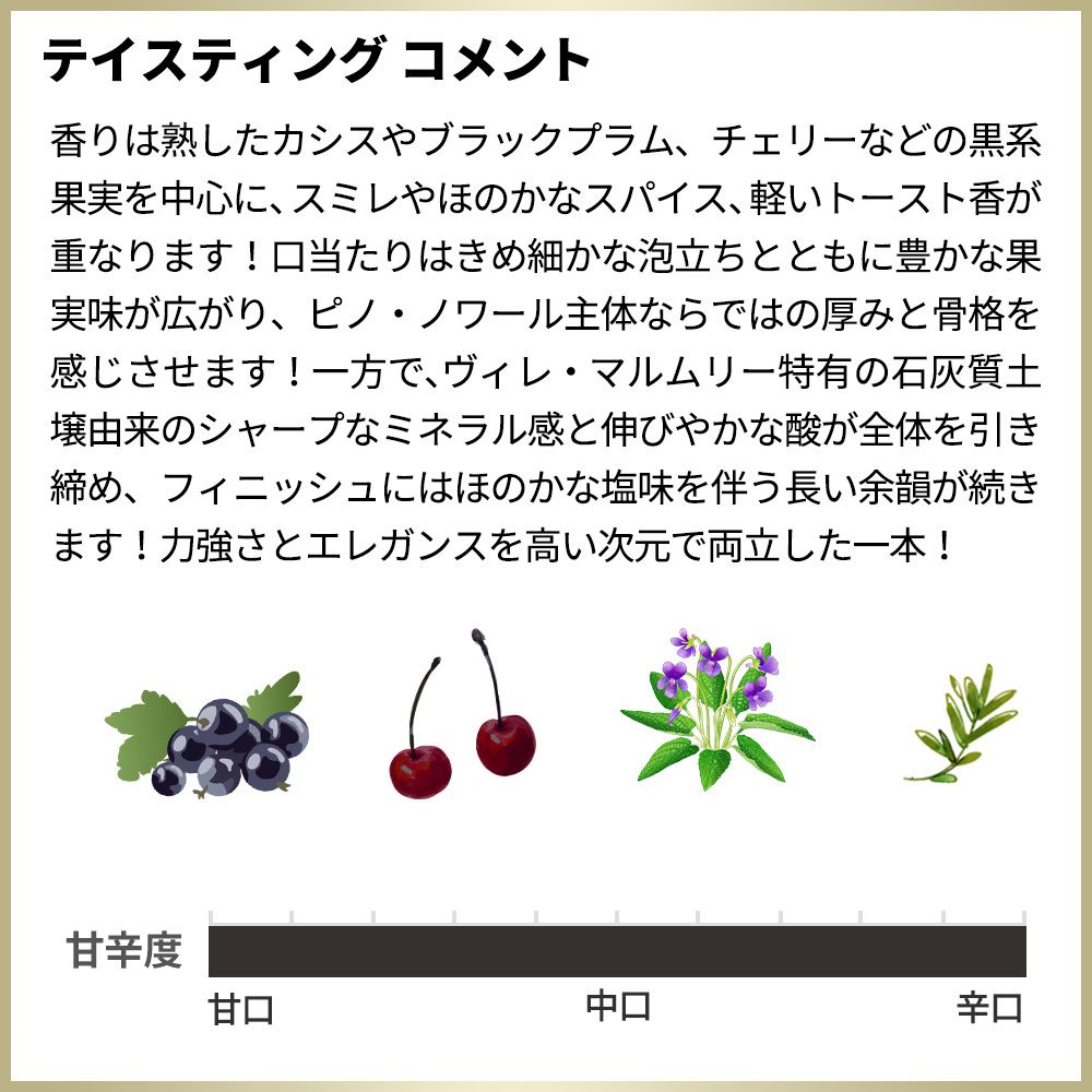 マノン ブティエ ゲール シャンパーニュ ノクス (2021) 蔵出し品 エクストラ ブリュット RM 生産者元詰 デゴルジュマン2025年9月【クール便にて配送】