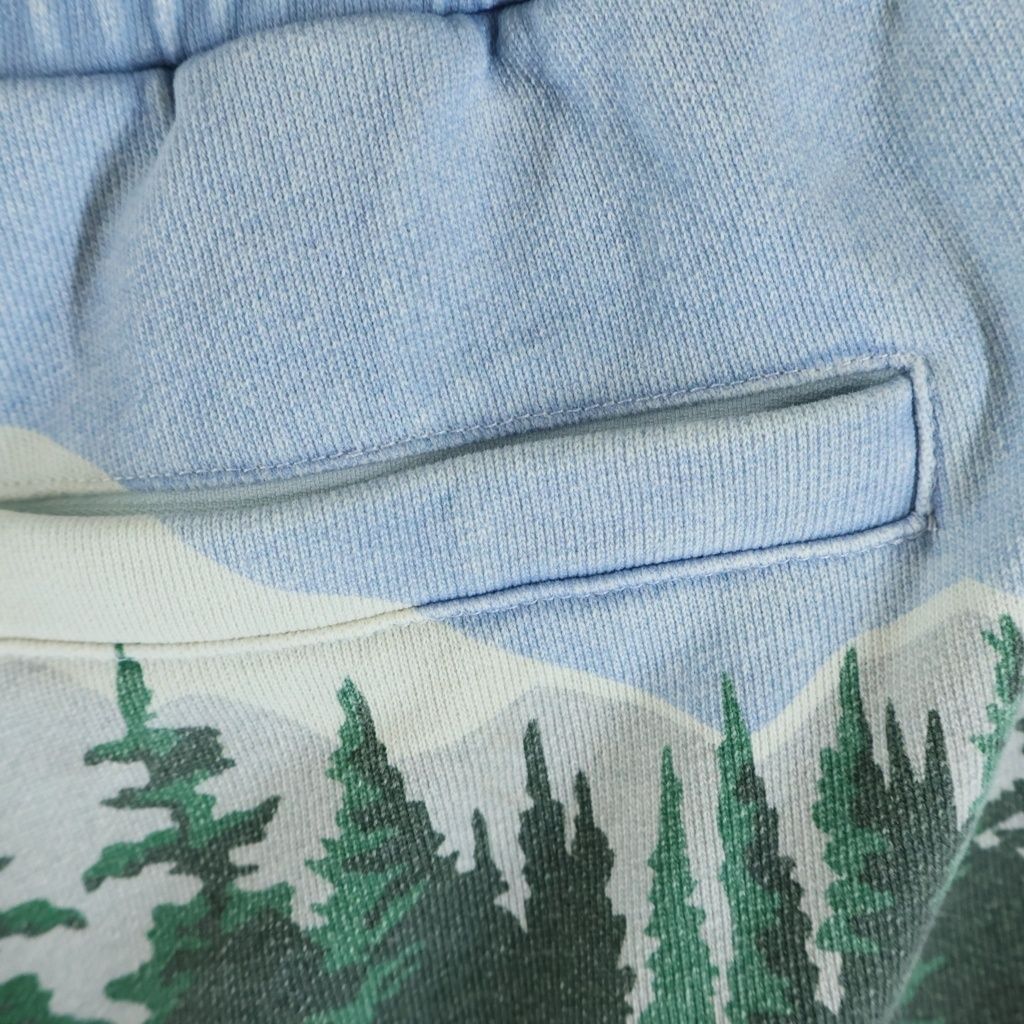 KITH (キス) Scenic Fleece Curtis Short フラワージャガート