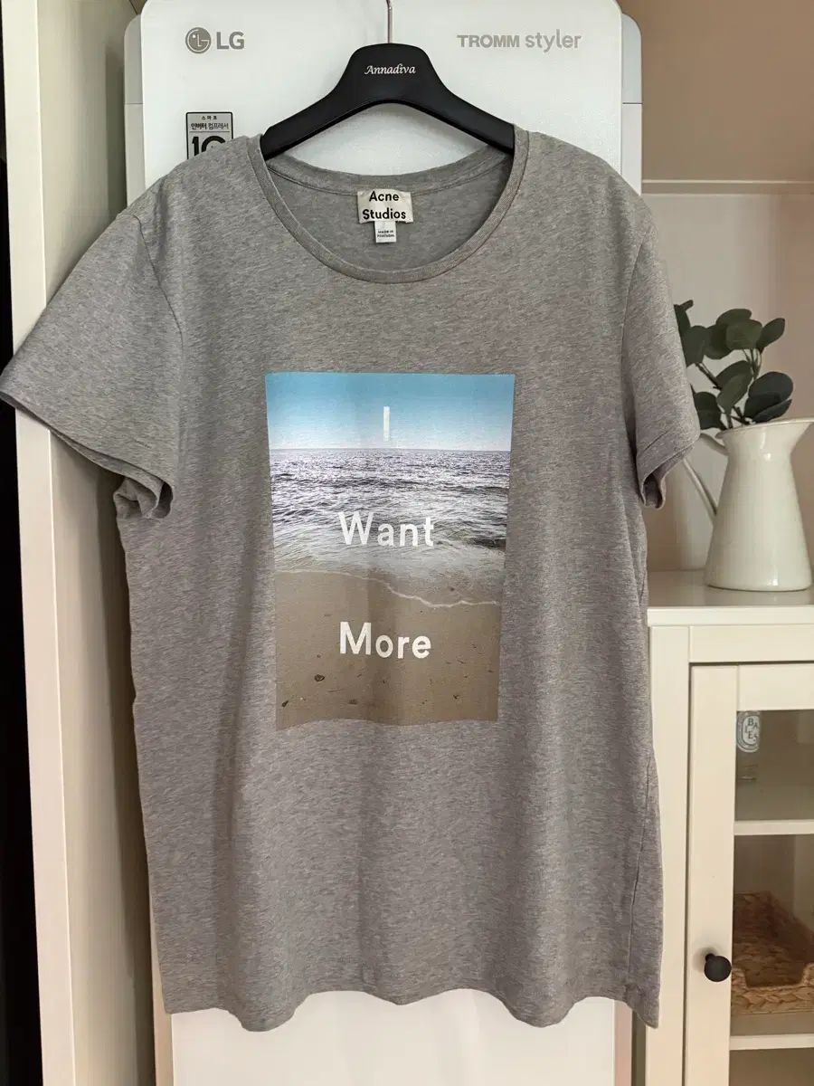 Acne Studios アクネストゥディオズ グラフィック 半袖 Tシャツ グレー