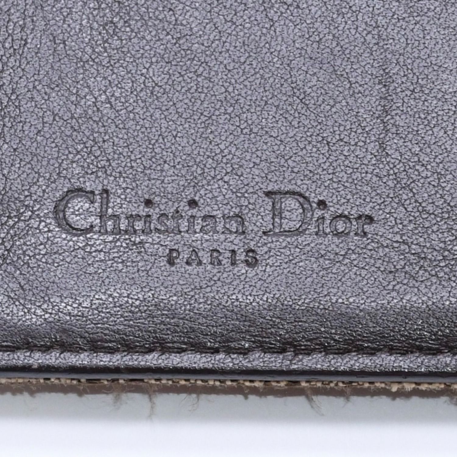 Christian Dior クリスチャンディオール トロッター ラスタカラー