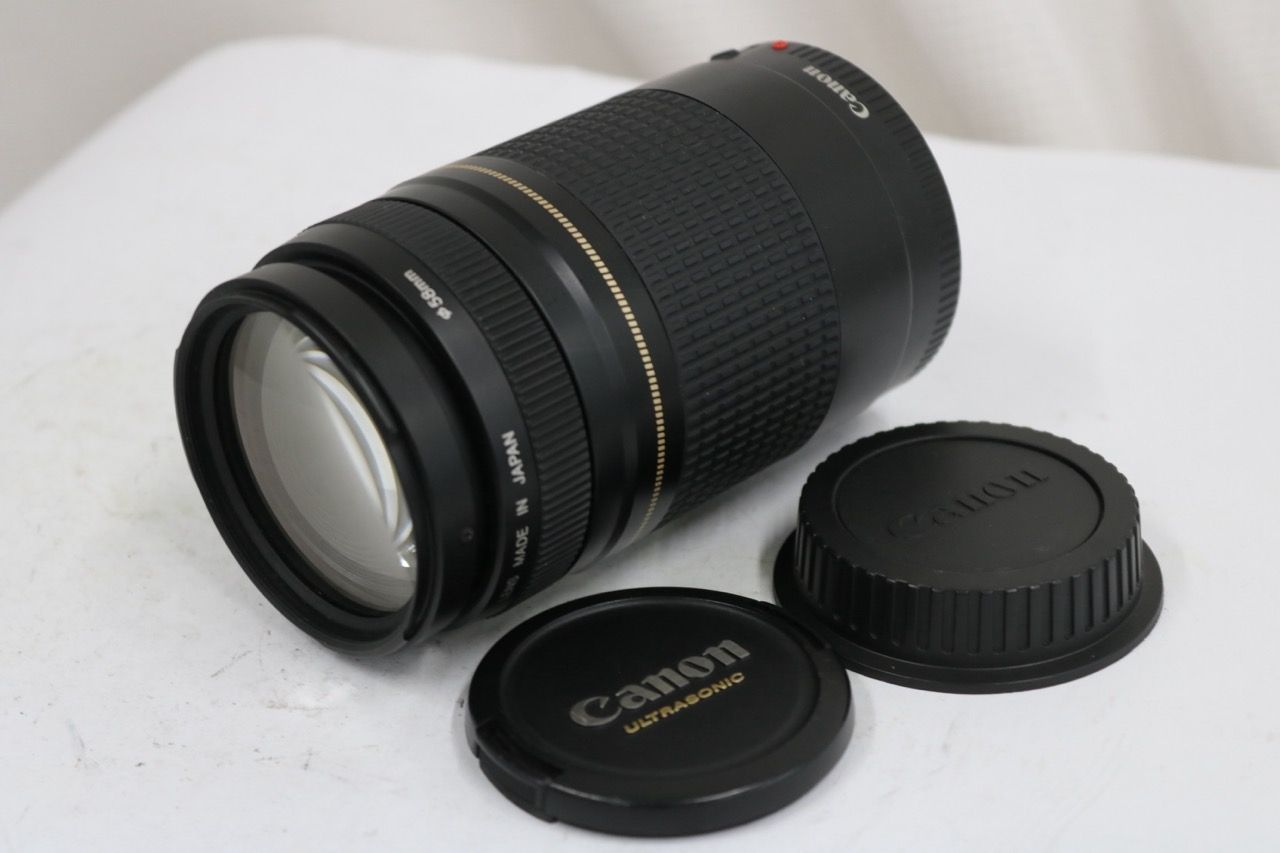 【訳あり品】 キャノン Canon EF 75-300mm F4-5.6 II 前後キャップ付き レンズ e14745