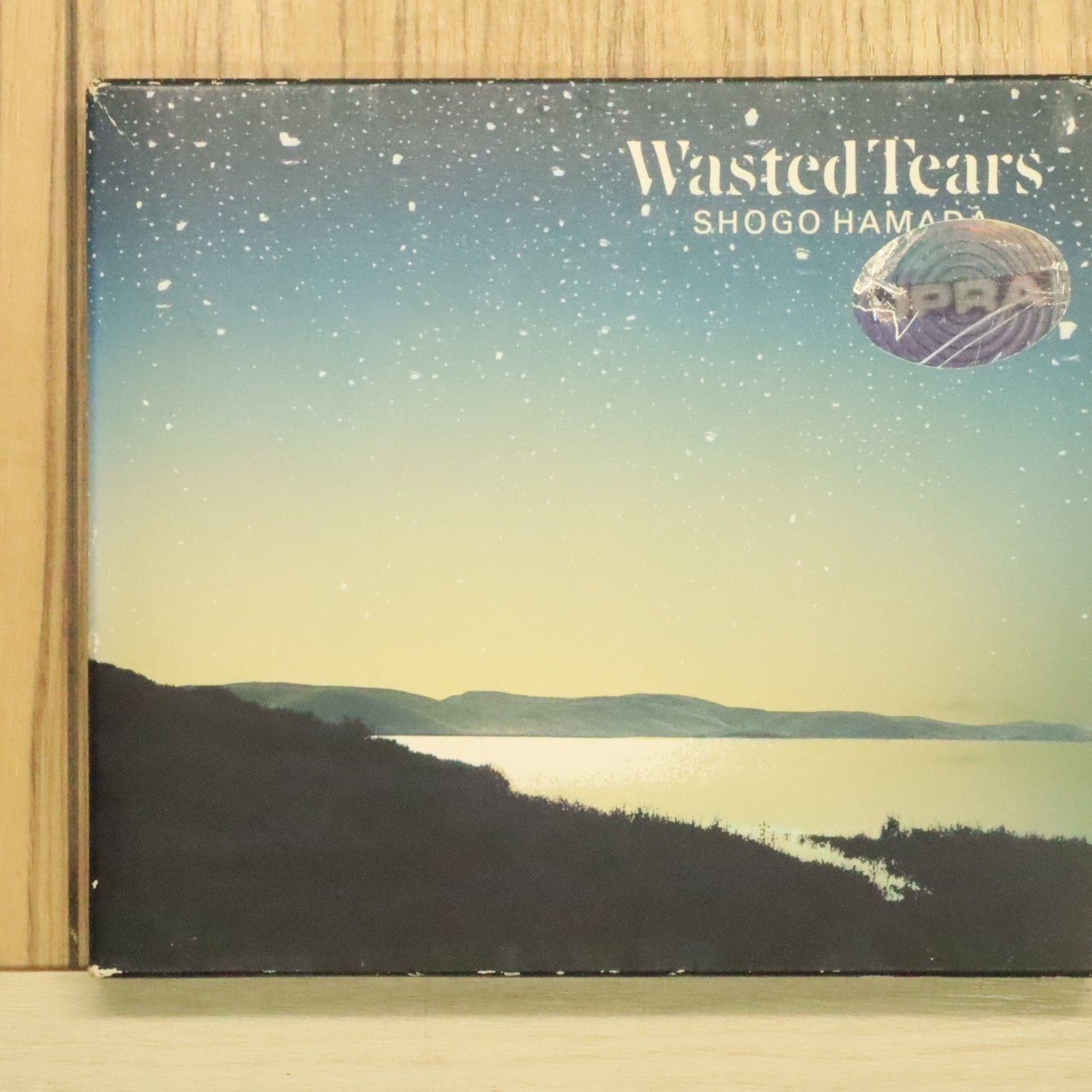国内盤CD☆浜田 省吾/Shogo Hamada□ WASTED TEARS 【32DH5269