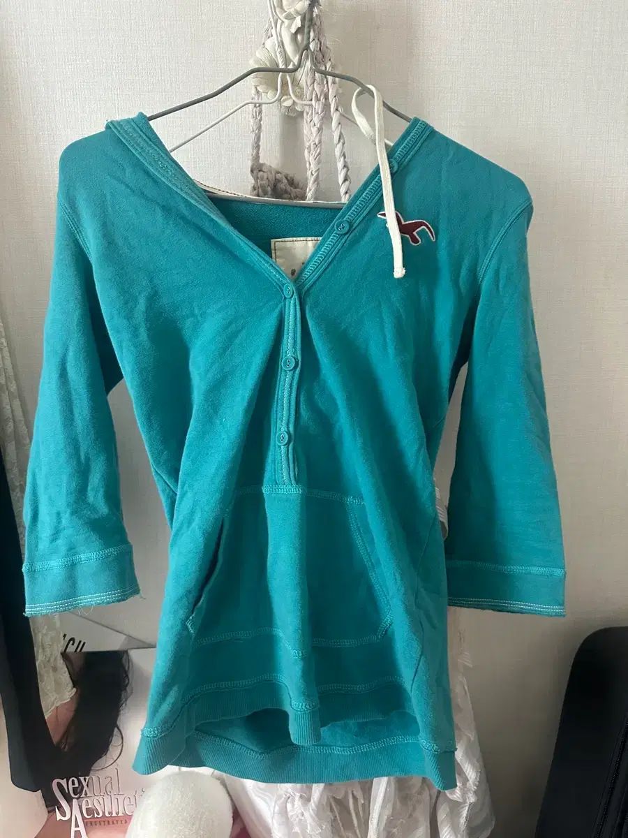 ヴィンテージ Hollister ホリスター ミント ヘンリーネック フード