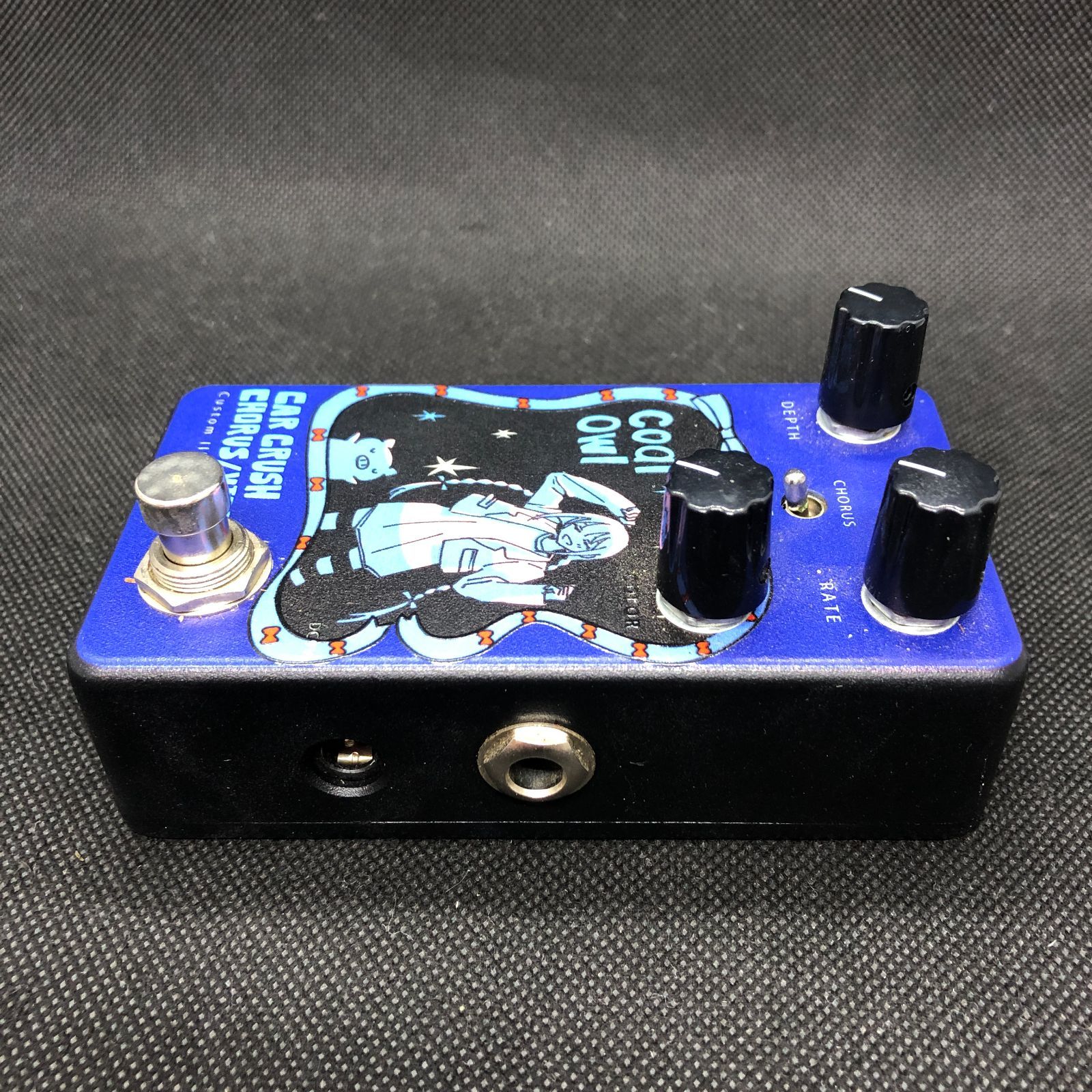 Animals Pedal Custom Illustrated CCV coalowl #01 AA60B350302 f146