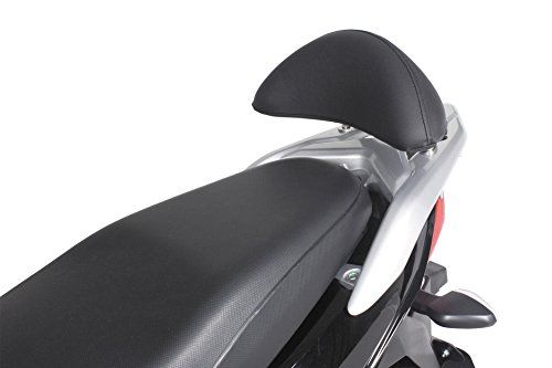 SP武川 バックレストキット(ラージタイプ) アドレス110用 09-11-1152ts 15cd5aee SP武川 バックレストキット(ラージタイプ) アドレス110用 09-11-1152ts 15cd5aee