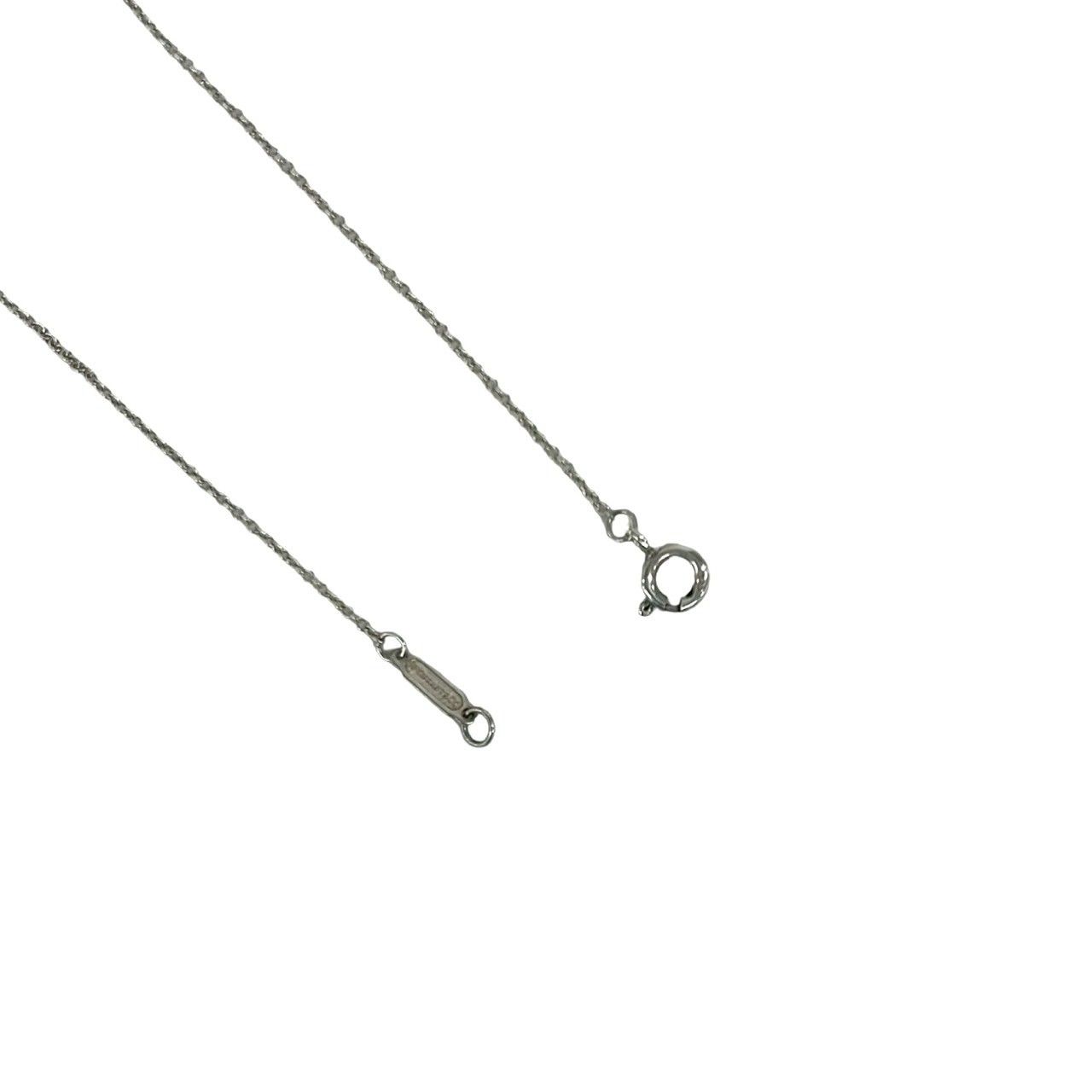 極 美品 TIFFANY&Co. ティファニー アトラス サークル ネックレス