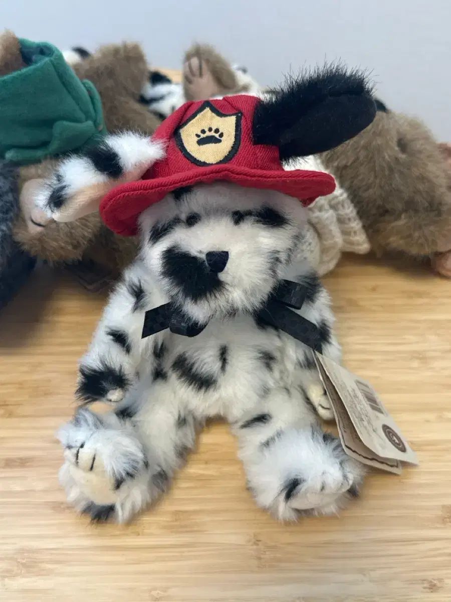 ボーイズベア消防