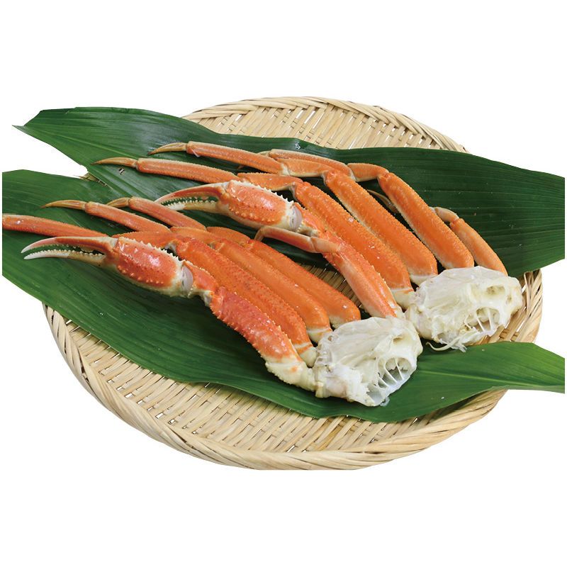 【お中元ギフト】ずわい蟹肩脚 【申込締切7/31、お届け期間6月末～8/7】 【北海道・沖縄・離島配送不可】