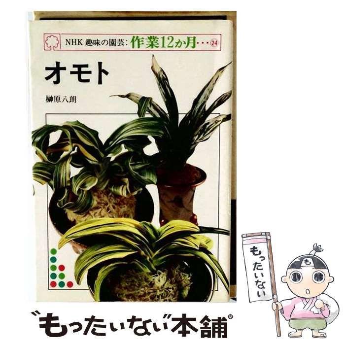 【中古】 作業12か月 24 オモト / 榊原 八朗 / 日本放送出版協会