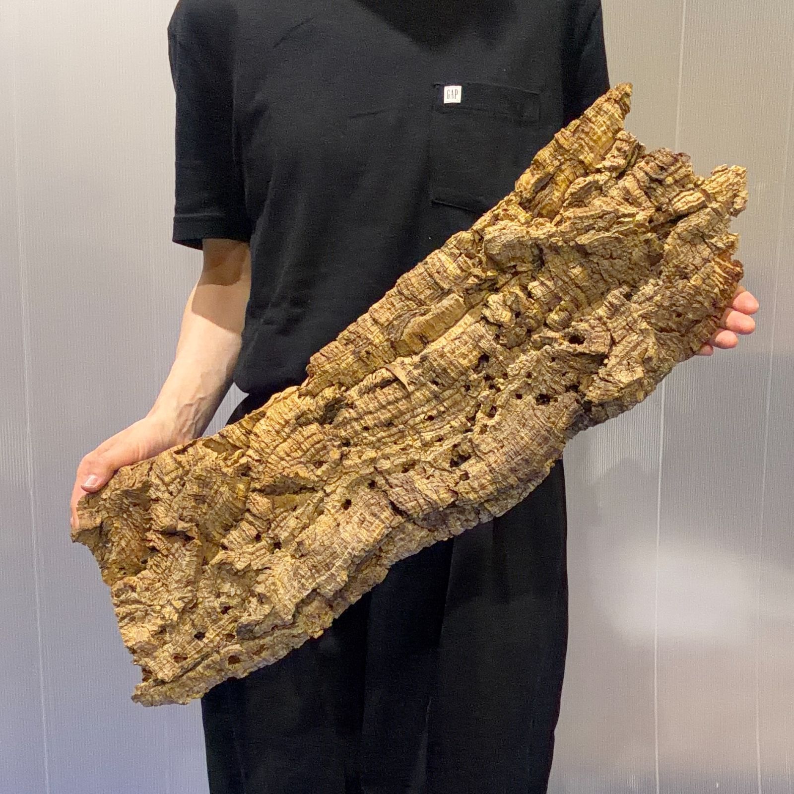 L9196 超特大サイズ！最高品質！ コルク樹皮 エアプランツ コウモリラン ビカクシダ 洋蘭 コルク