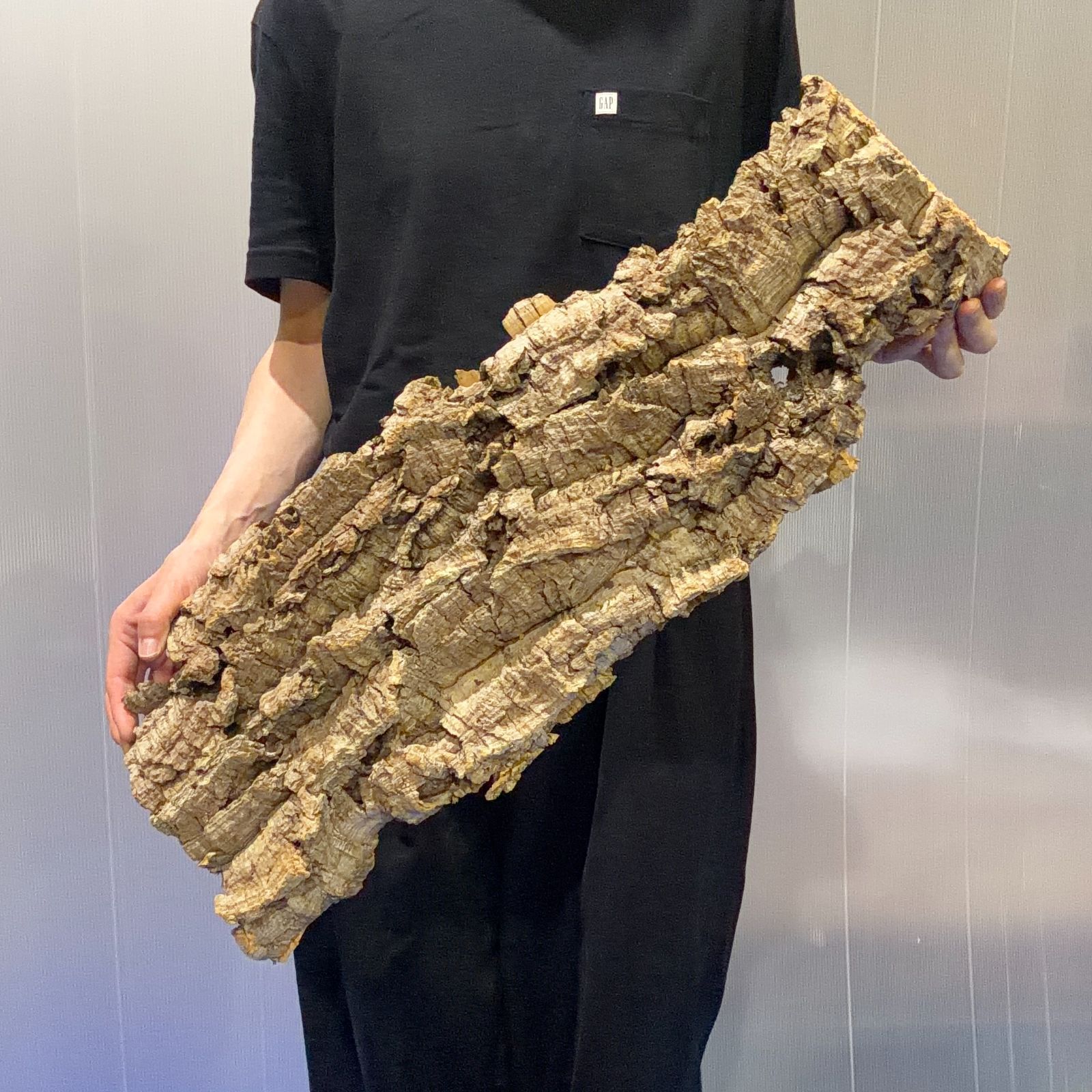 L9198 超特大サイズ！最高品質！ コルク樹皮 エアプランツ コウモリラン ビカクシダ 洋蘭 コルク