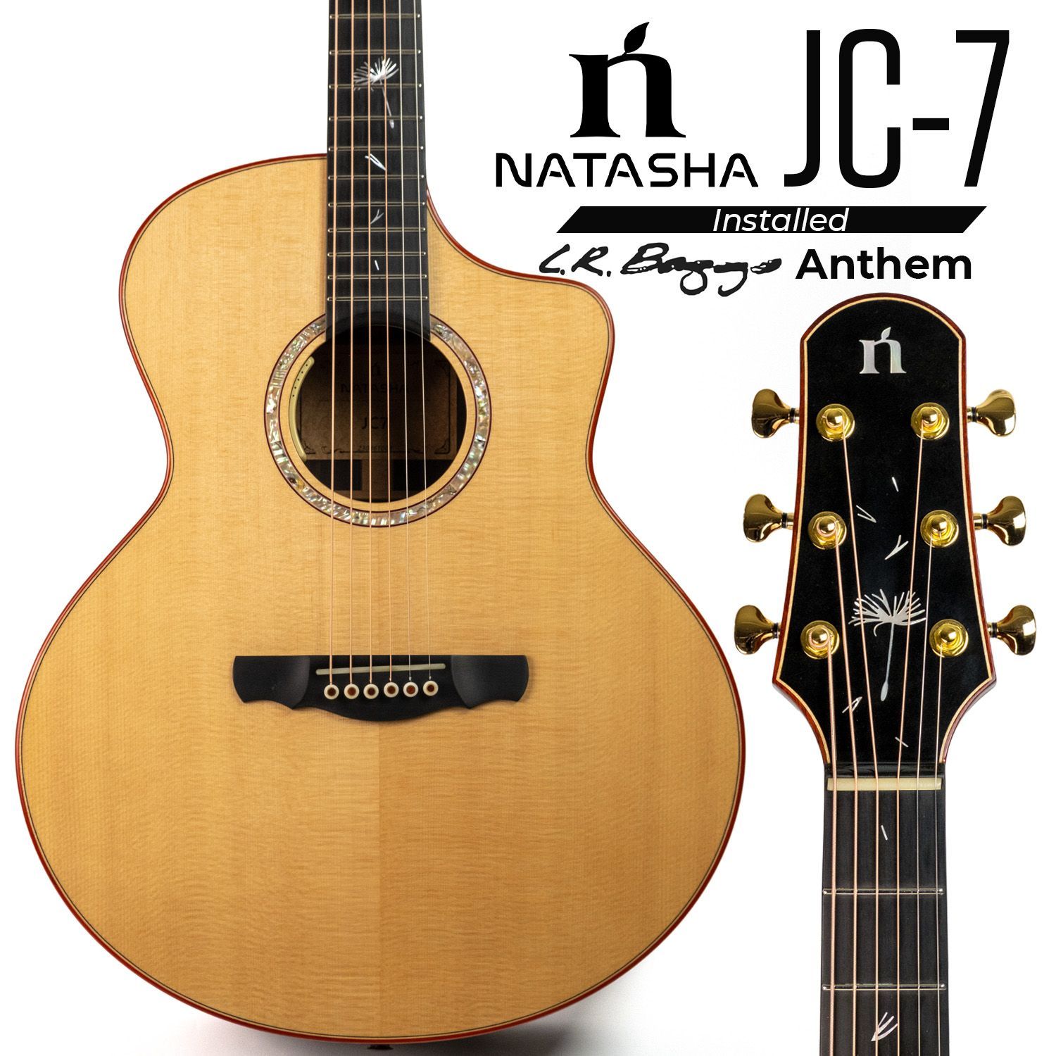 Natasha JC-7 L.R.Baggs Anthem 取付済 エレアコギター