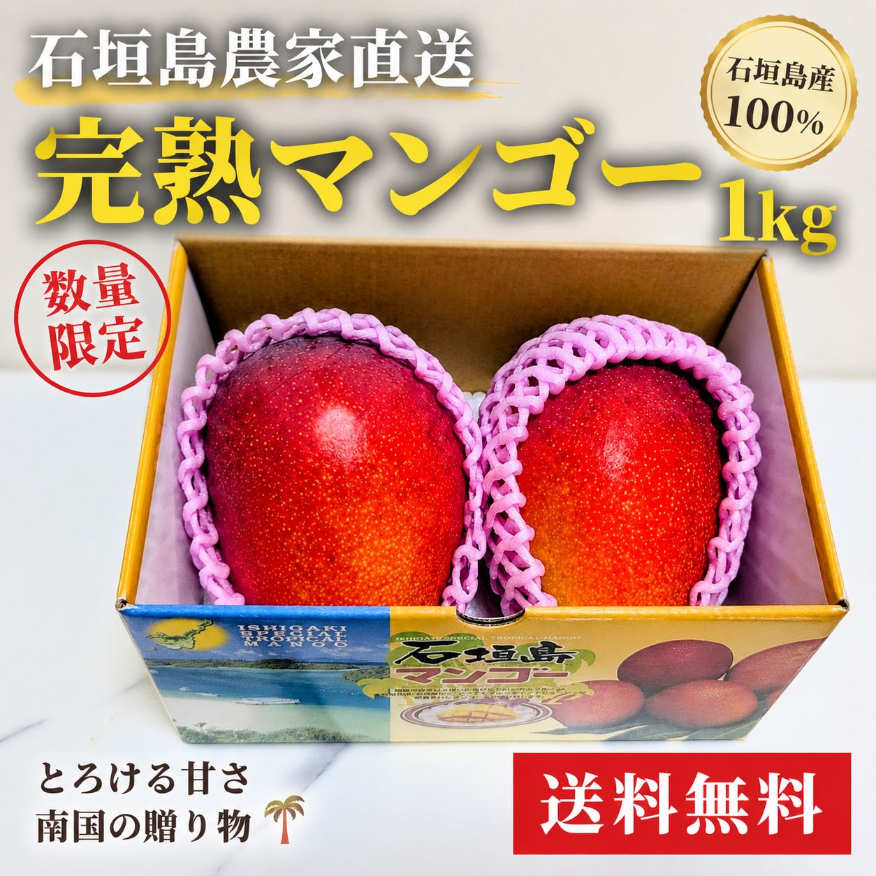 石垣島産完熟マンゴー 1kg 新品＊送料無料 - メルカリ