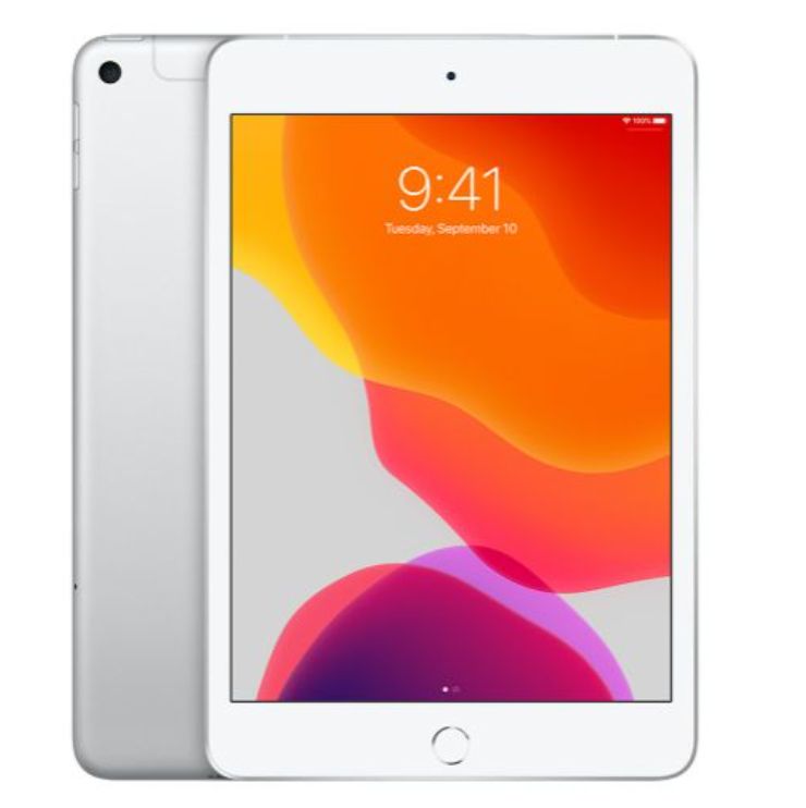 中古・動作品　Apple iPad mini (第５世代) Wi-Fi + Cellular 256GB シルバー　日本モデル 22,792円