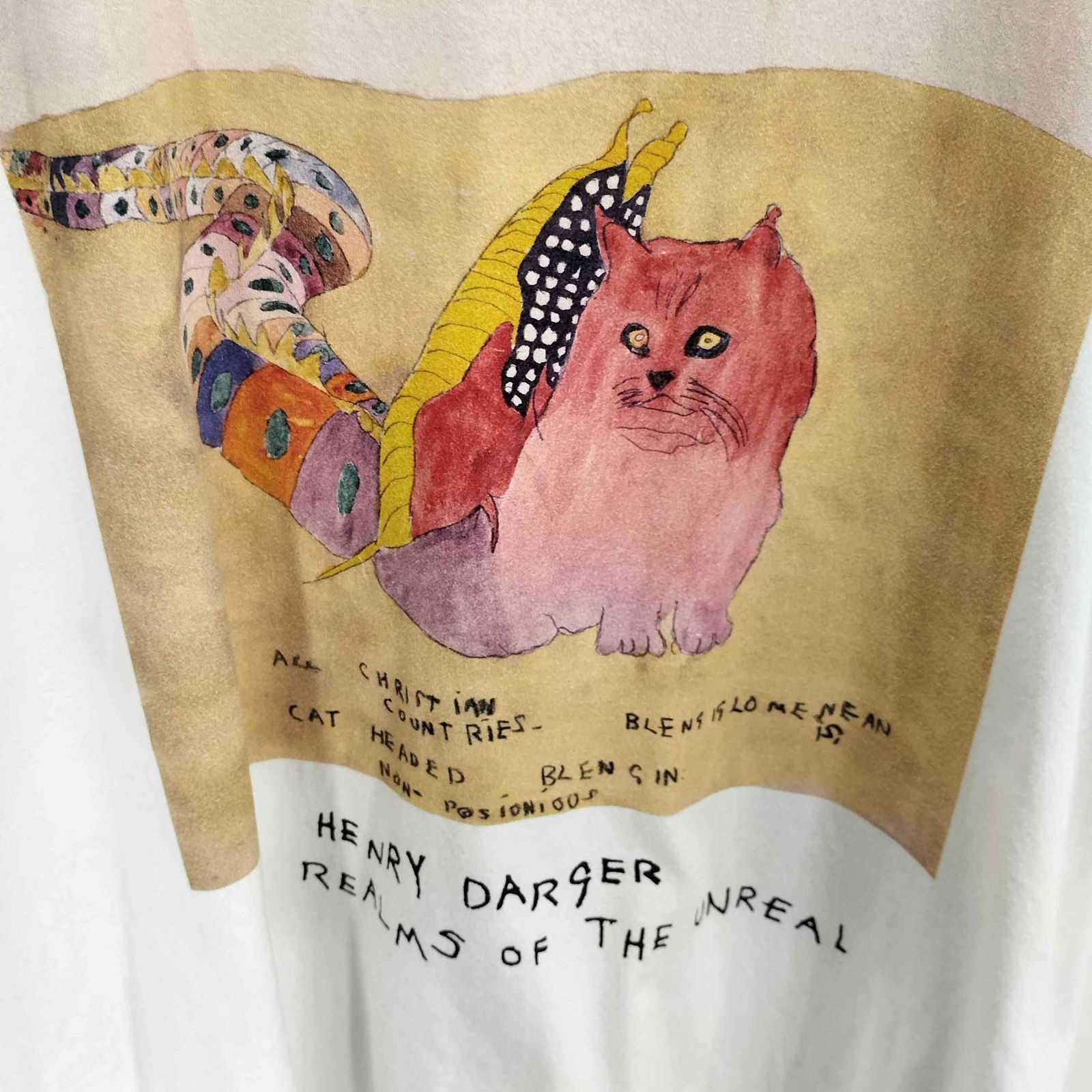 キディル KIDILL 22AWグラフィックプリントTシャツ メンズ F - メルカリ