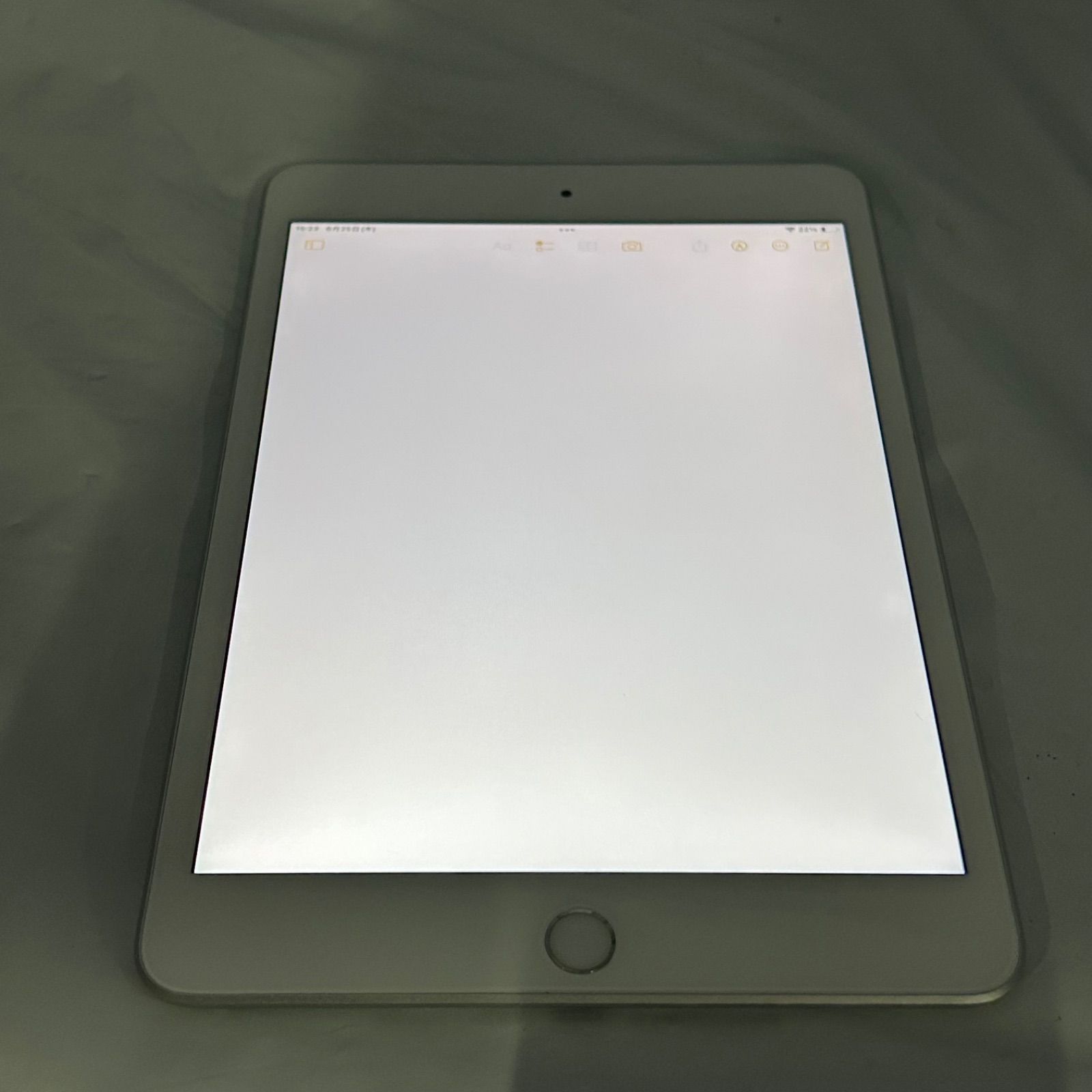 中古・動作品 Apple iPad mini (第5世代) Wi-Fi + Cellular 256GB